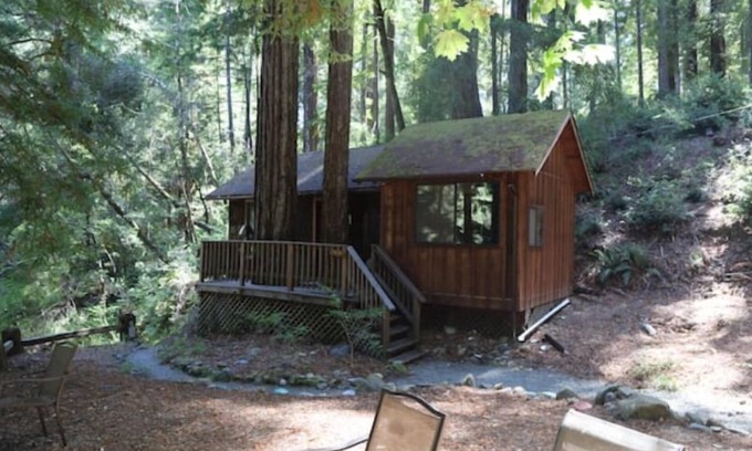 Garberville Cabin | "Twin Trees" Cabin River Access In Redwoods WiFinn