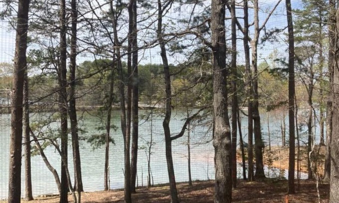 Martin Cottage | Uncork, Unwind, Relax @ this Family & pet Friendly Lake Home #1