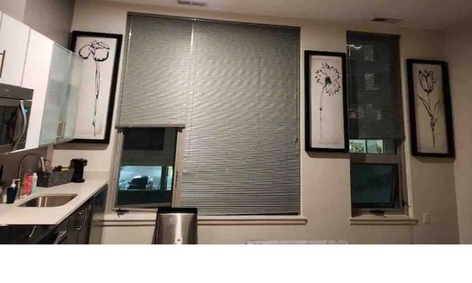 Downtown Apartment | Unique Oasis in Downtown Silver Spring with Spectacular Amenities