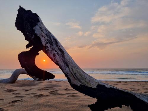 Zinkwazi Beach Ski Chalet | Unit 2 at Place of the Eagle