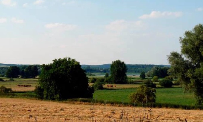 Muritz Apartment | Vacation apartment/apartment for 4 guests with 50m² in Vollrathsruhe (155873)