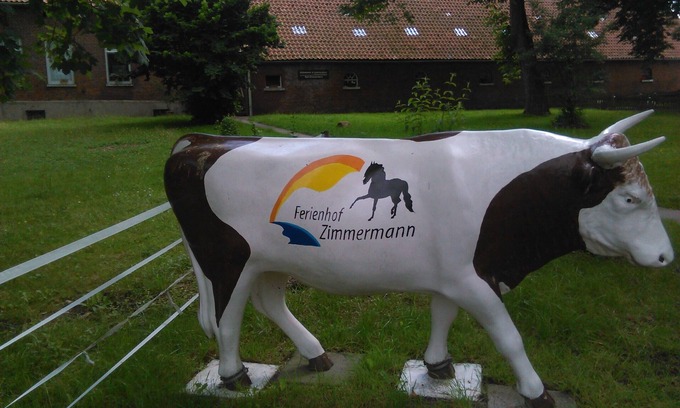 Stollhamm Apartment | Vacation farm with ponies