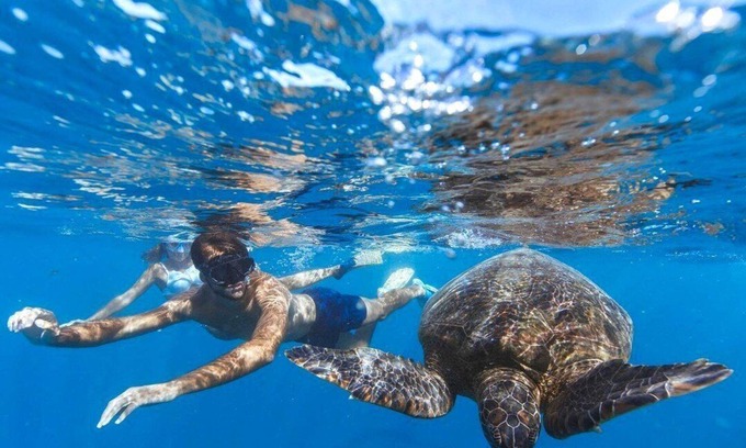 Tapere of Vaimaanga Apartment | Vaima Studio -steps from the best beach + value for money, air con, free WIFI !