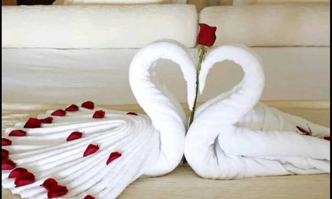 Laindon House | Vetrelax Basildon House