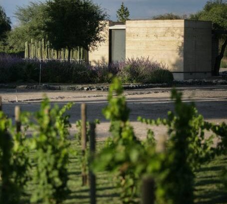 Soledad de Graciano Sanchez House | Viñedo Bodega 1881