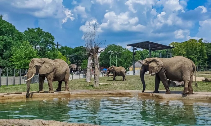 Wauwatosa Hotel | Vibrant Downtown Wauwatosa Stay! 2 Comfortable Units with Pool & Free Parking!