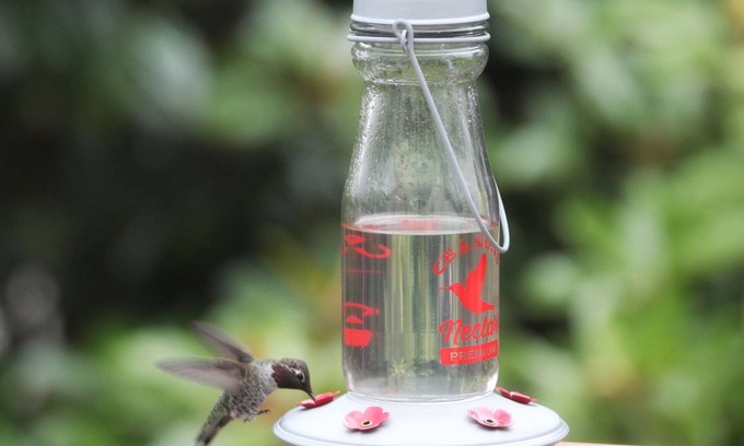 Castro District House | Victorian in a Great Neighborhood