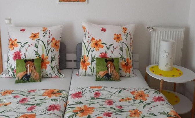 Ellenz Apartment | Vijas