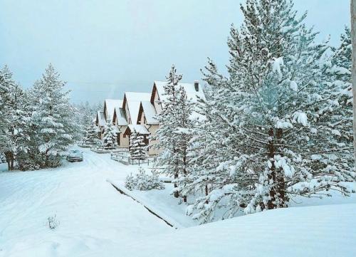 Risovac Villa | Vila Snjeguljica Blidinje 200 m od ski staze