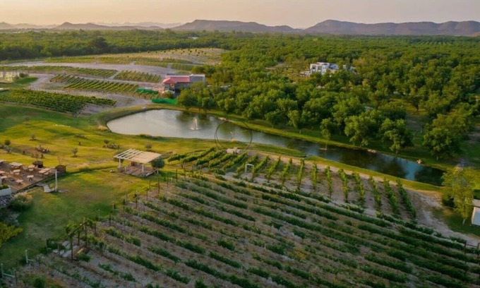 Parras de la Fuente House | Villa 4BR Pueblo Parvada