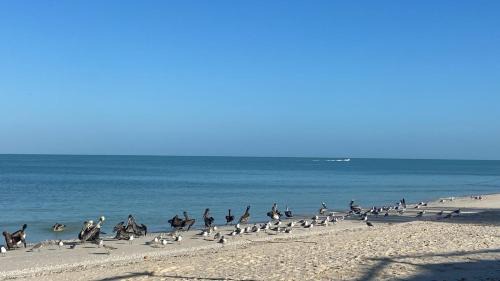 Celestun Other | Villa 74