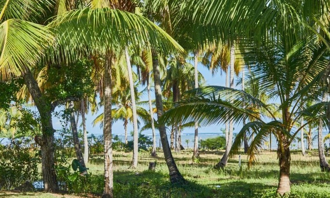 El Limon Villa | Villa Aurora