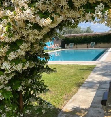 Castagneto Carducci House | Villa Borgeri