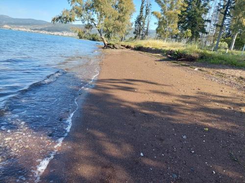 Stylida Apartment | Villa Laguna -house by the beach