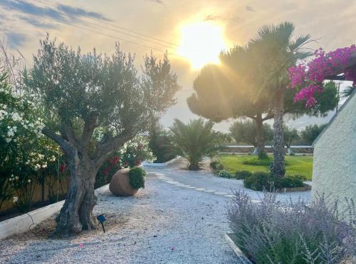 Posidonia Villa | Villa Loretta 1