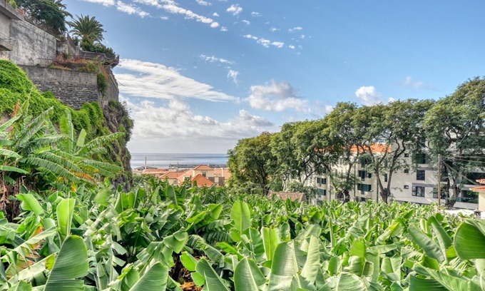 Santa Luzia House | Villa Rosa, a Home in Madeira