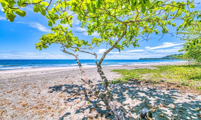 Puerto Viejo de Talamanca Apartment | Villas Piña - Adults Only