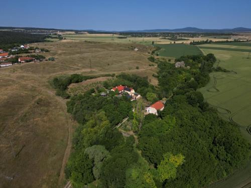 Kiralyszentistvan House | Vincellér Vendégház