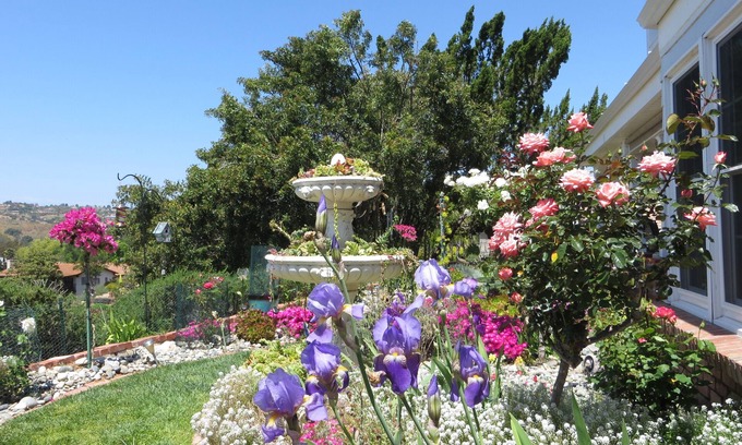 Fallbrook Apartment | Vineyard View with King Bed - 50% off Monthly Rates