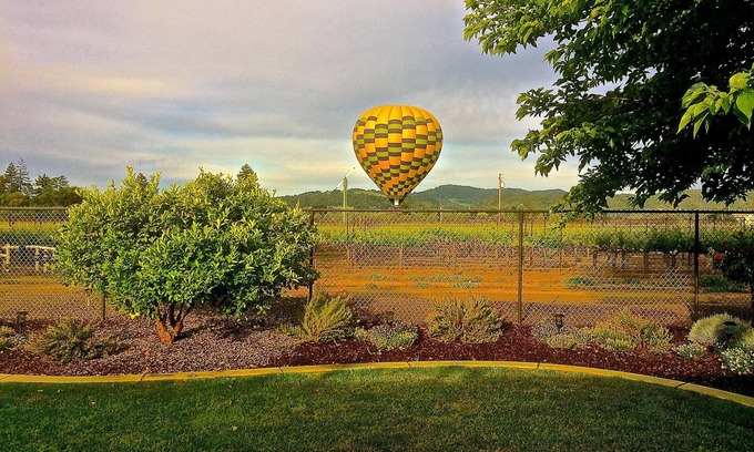 Napa House | Vineyard Views in the Heart of the Napa Valley