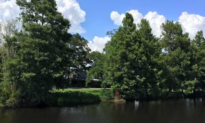 Houma House | Vintage Home and Spacious Grounds - "mini-fest" area - 3 night Min. -