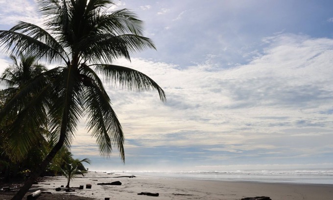Canton Quepos Apartment | ¡vive la Serenidad del Mar! Playa, Piscina, Vida Salvaje y Surf