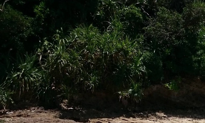 Hanagusuku Villa | Vrbo Property