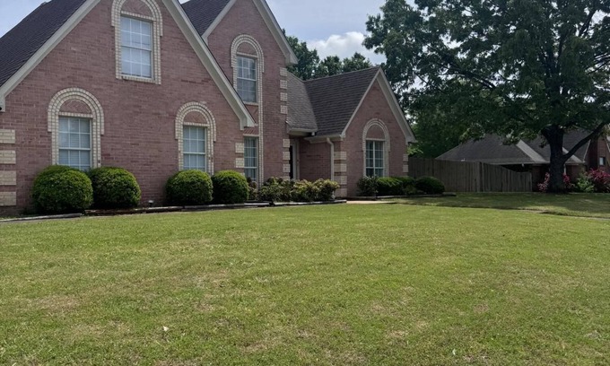 Olive Branch House | Warmth & Charming, Cozy 4BR Brick Home with Private Pool in Olive Branch