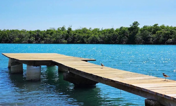 Penuelas House | Waterfront Retreat, Power Generator, Private Dock & Boat Ramp