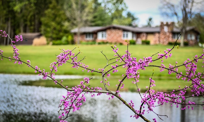 Ava House | We are a quiet ranch home that sits on 8 acres with firepit, pond and bar.