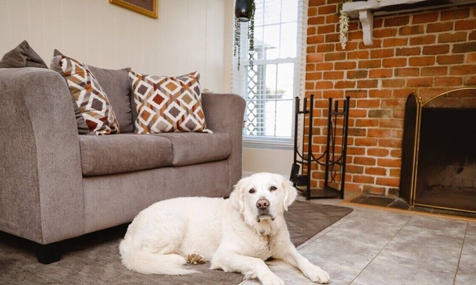 Hampton Apartment | We have a fully furnished bedroom that is ready to become someone's home away from home