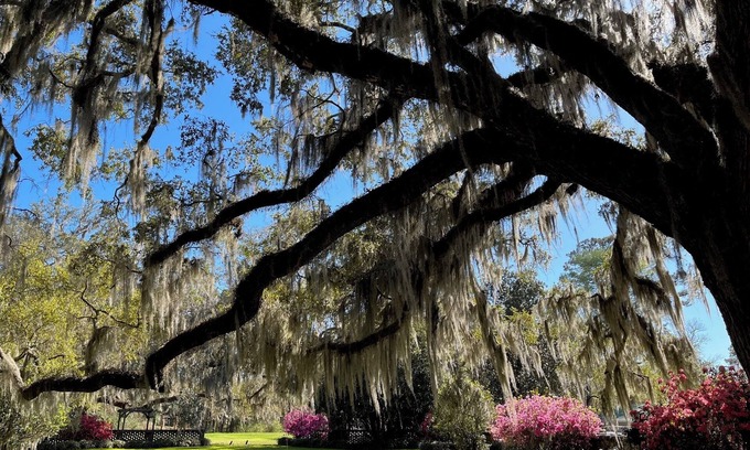 Georgetown Cabin | Wedgefield Country Club