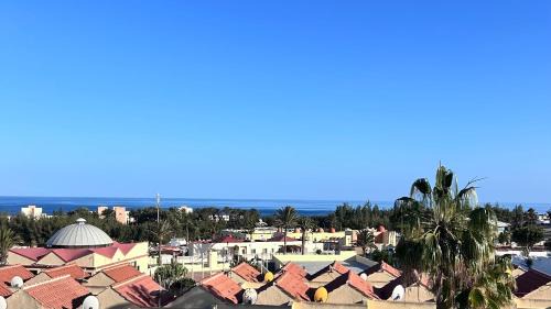 Bahia Calma Apartment | Welooveyou Parrots