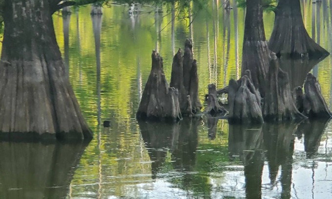 La Center House | West Ky Charm 2/3 bedroom country house nQuilters. Hunters. Fisherman Haven.