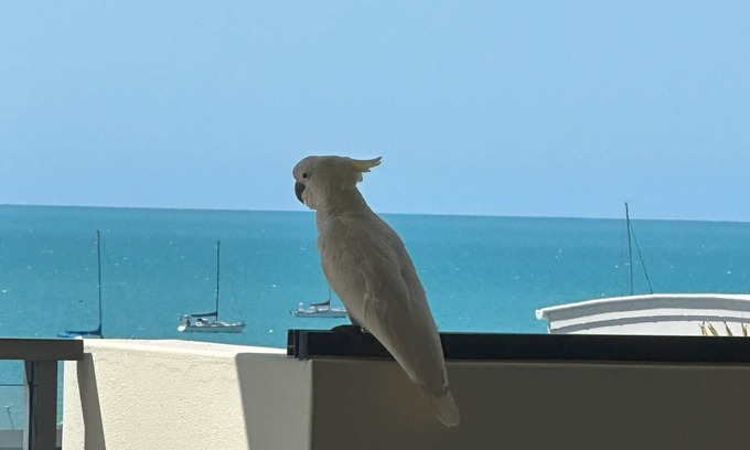 Airlie Beach Apartment | Whisper Bay Mirage Resort 3 bdrm apartment.