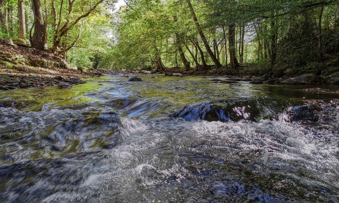 Cosby Cabin | Whispering Creek by RedAwning