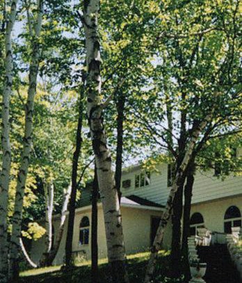 Sturgeon Bay Hotel | White Birch Inn