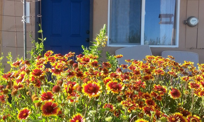 Dyer Apartment | Wild Creek BnB, " Cottage "