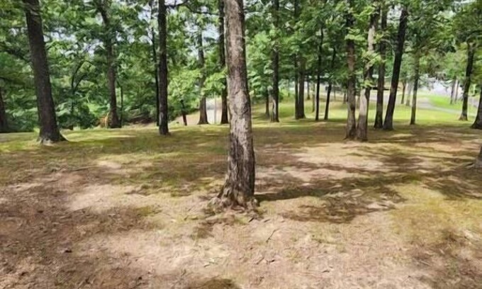 Kuttawa Cabin | Wilderness Glamper Retreat