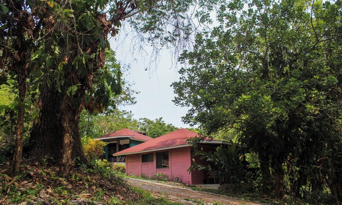 Palenque Cabin | Winíka Alterra
