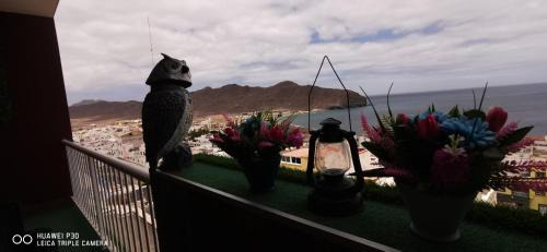 Gran Tarajal House | Wind Rose Duplex