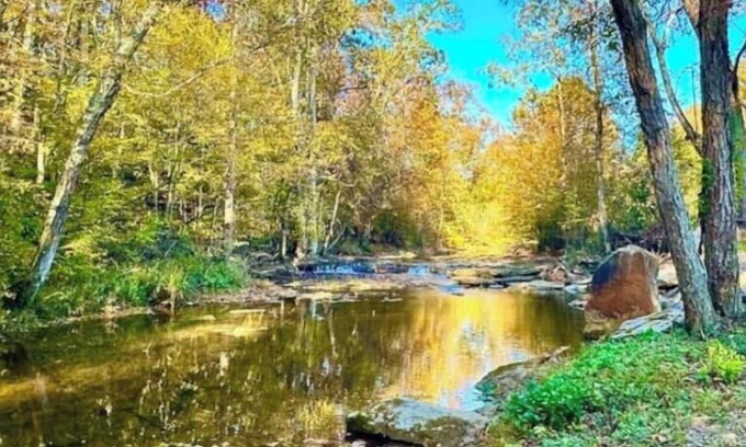 Baxter Cabin | Window Cliff Waterfall Cabin