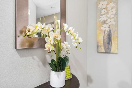 Table Rock House | Windsor Cottage - Fall Creek Beauty by Table Rock