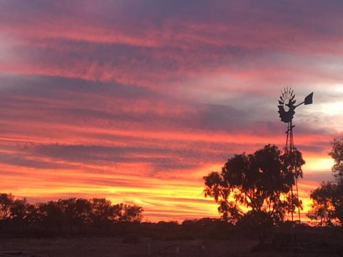 Wirraminna Apartment | Wirraminna Station Accommodation