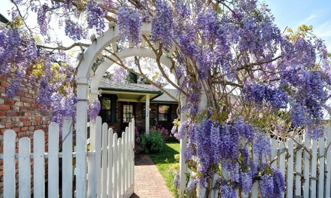 Hatton Fields House | Wisteria - Carmel House - Close to Downtown, Beaches, Big Sur and Pebble Beach