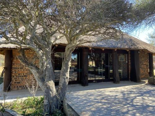 Mookgopong Cabin | Witgatboom Boskamp