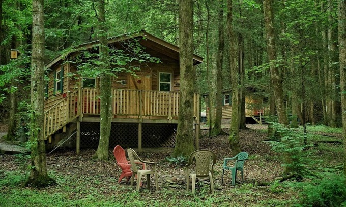 Ellijay Cabin | With a king sized bed BEAR'S LAIR gives comfort of home plus an outdoorsy vibe!
