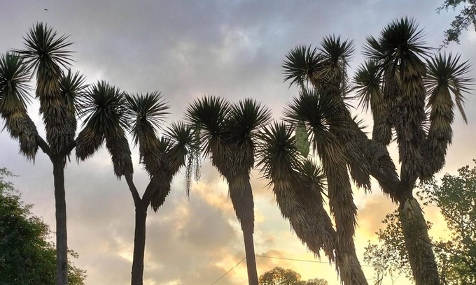 Huasca De Ocampo House | Wonderful hotel by GEstores WiFi in San Miguel Regla