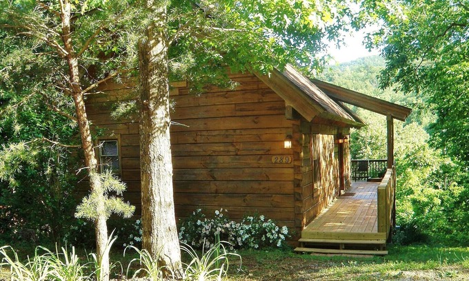 Lake Lure Cabin | WONDERFUL MOUNTAIN VIEWS~PETS WELCOME~ CLOSE TO EVERYTHING, YET VERY PRIVATE.