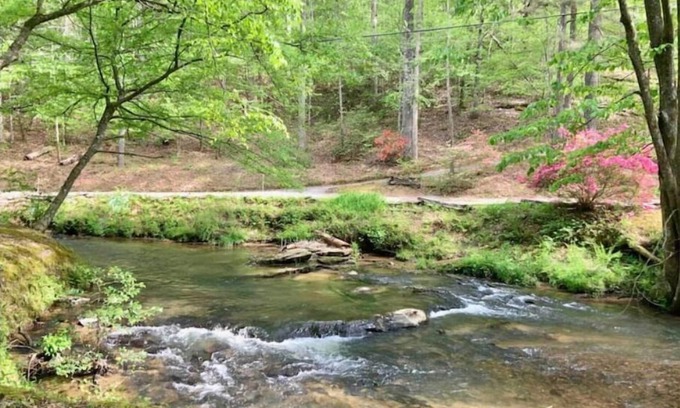 Ellijay Cabin | Woodland Creekside Cabin/HotTub/WiFi/Gameroom